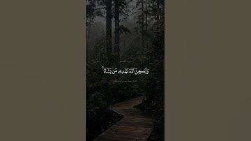 ﴿إنك لا تهدي من أحببت ولكن الله يهدي من يشاء..﴾ الآية ٥٦ من #سورة_القصص #المنشاوي #فيديو_قرآن