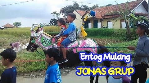 Entog Mulang - Jonas