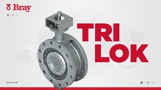 Válvula Mariposa | Tri Lok® | Bray Válvulas [Spanish Version]