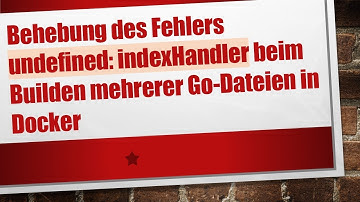 Behebung des Fehlers undefined: indexHandler beim Builden mehrerer Go-Dateien in Docker