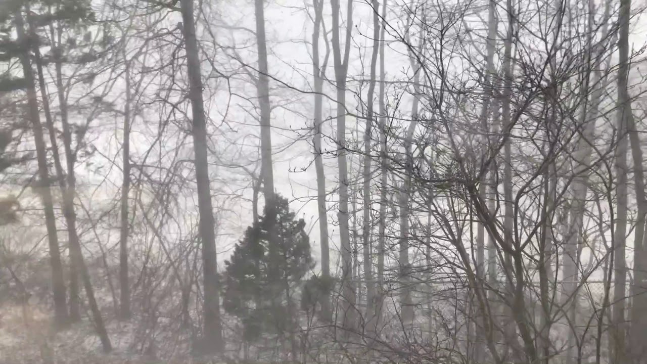 Time-lapse of a snow squall that swept through Edison
