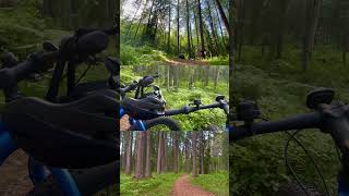 Lake Saimaa Region Road Trip and Biking in The Punkaharju Arboretum here part 1 ☀️🚴♀️🚴♂️