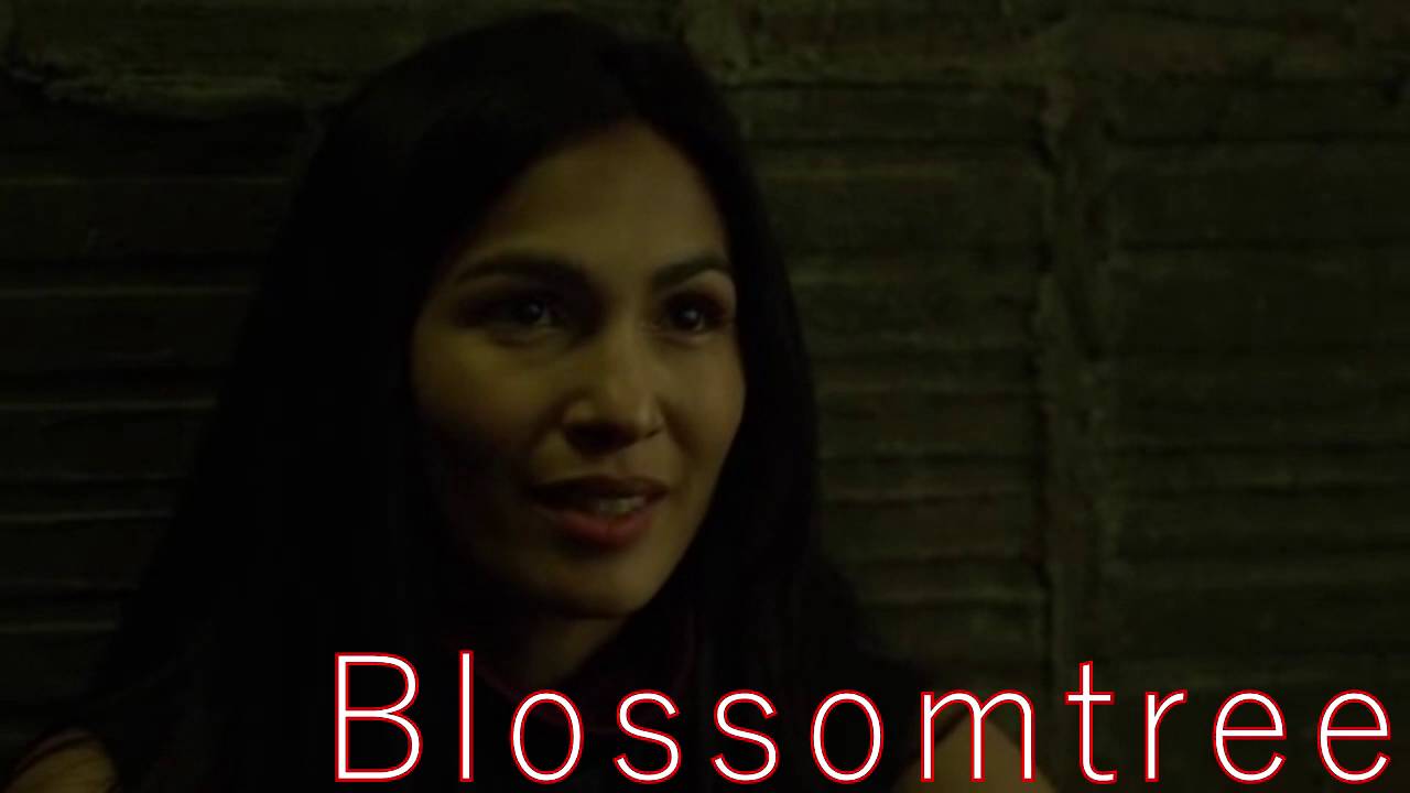 (Matt & Elektra) Fools