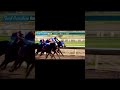 6th Race January 14, 2026. Turf Paradise