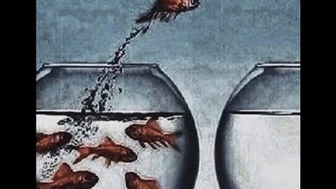 shadowplayclip on a knife account ft illusionary