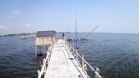 Spot mancing pinggiran !! Mancing kali ini menguji kesabaran !! Mancing dibagan pertamina