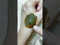 Easy & Simple Leaf Mehndi design🍁 #shorts #henna #creativehenna #leafhenna #mehndi