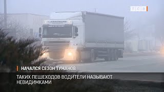 Сезон туманов и невидимок