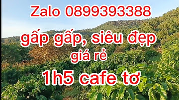 Quá đẹp, giá rẻ,lô đất cafe tơ,