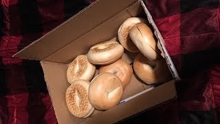 Beagle Pranks Phoenix With Bagels