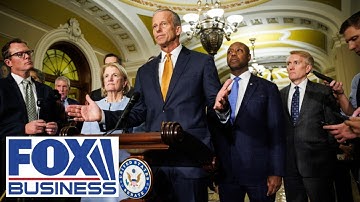 GOP rep warns Congress is 