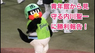 つば九郎 青年館に隔離中の内川聖一に勝利を報告 Youtube つば九郎 青年館に隔離中の内川聖一に勝利を報告 Youtube