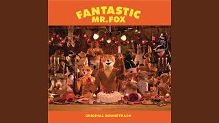 Video thumbnail of "Jarvis Cocker - Fantastic Mr. Fox AKA Petey's Song"