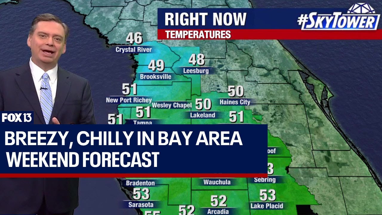 Breezy, chilly in Bay Area | Jan. 14, 2023 - YouTube