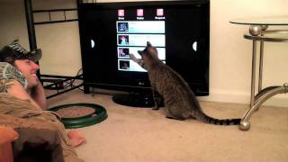Mean Kitty  Sparta's Favorite YT Videos! 8.14.09