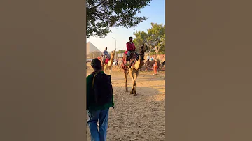 Гиза Были Energy Dune Goodvibes Egypt верблюд Подпишись Egorovatatyana 