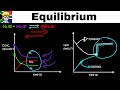 Equilibrium Graphs grade 12: Catalyst