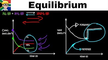 Equilibrium Graphs grade 12: Catalyst