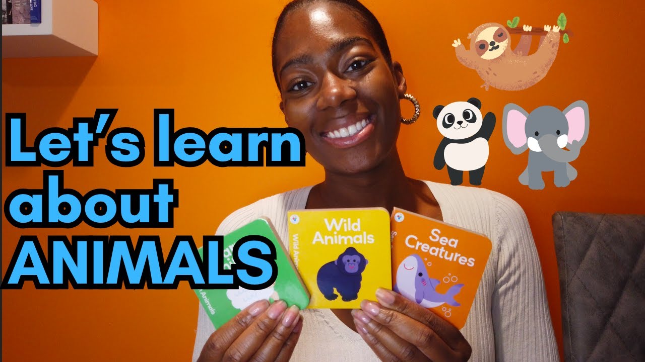 READING TIME! Wild animals, farm animals and sea creatures!