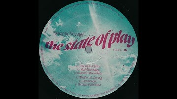 Synaptic Voyager - Weather This Storm (Frame Of Mind)