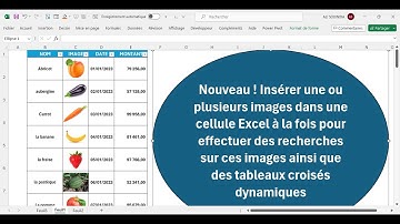 Nouveau ! Insérer une ou plusieurs images à une cellule Excel  pour faire des recherches et  des TCD