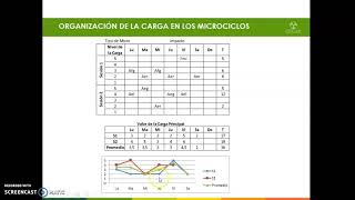 MICROCICLOS ESTRUCTURACIÓN  Entrenamiento Deportivo