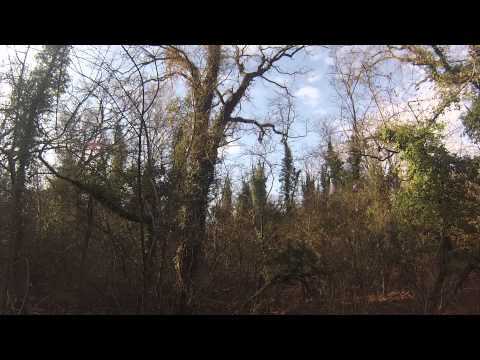 ქედანზე ნადირობა, გადაფრენა HD