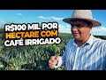 DOES IRRIGATED COFFEE MAKE MONEY See How Much 1 Hectare Will Make In 2025 