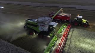 XXL HARVEST 2021 | NEW CLAAS Lexion 8900 Convio 1380 | transbordeur PERARD Interbenne 38