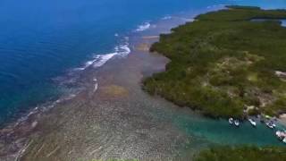 Cayo Dos Palmas | Salinas, Puerto Rico