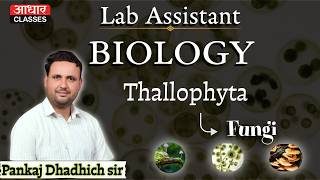 Lab Assistant Biology: Thallophyta (Fungi) | Important PYQs by Pankaj Dhadhich Sir