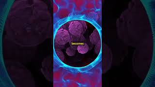 Neuroblastoma is a rare cancer that affects children, mostly under the age of 5 year #dna #genetics
