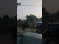Live highlight