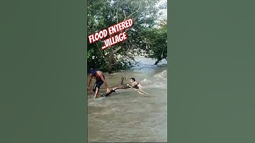 😱flood engulfed.💯 village #rescue 😲