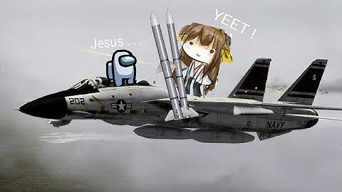 When F-14 Tomcat use Aim 7 sparrow