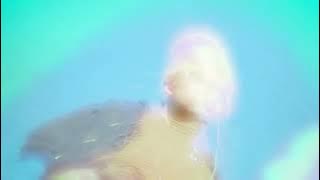 damnboy! x Eazyly -  HOLD ON! i'm still dreaming...(Official Music Video)