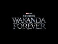 Black Panther: Wakanda Forever (Tems - No Woman No Cry) Remake edit