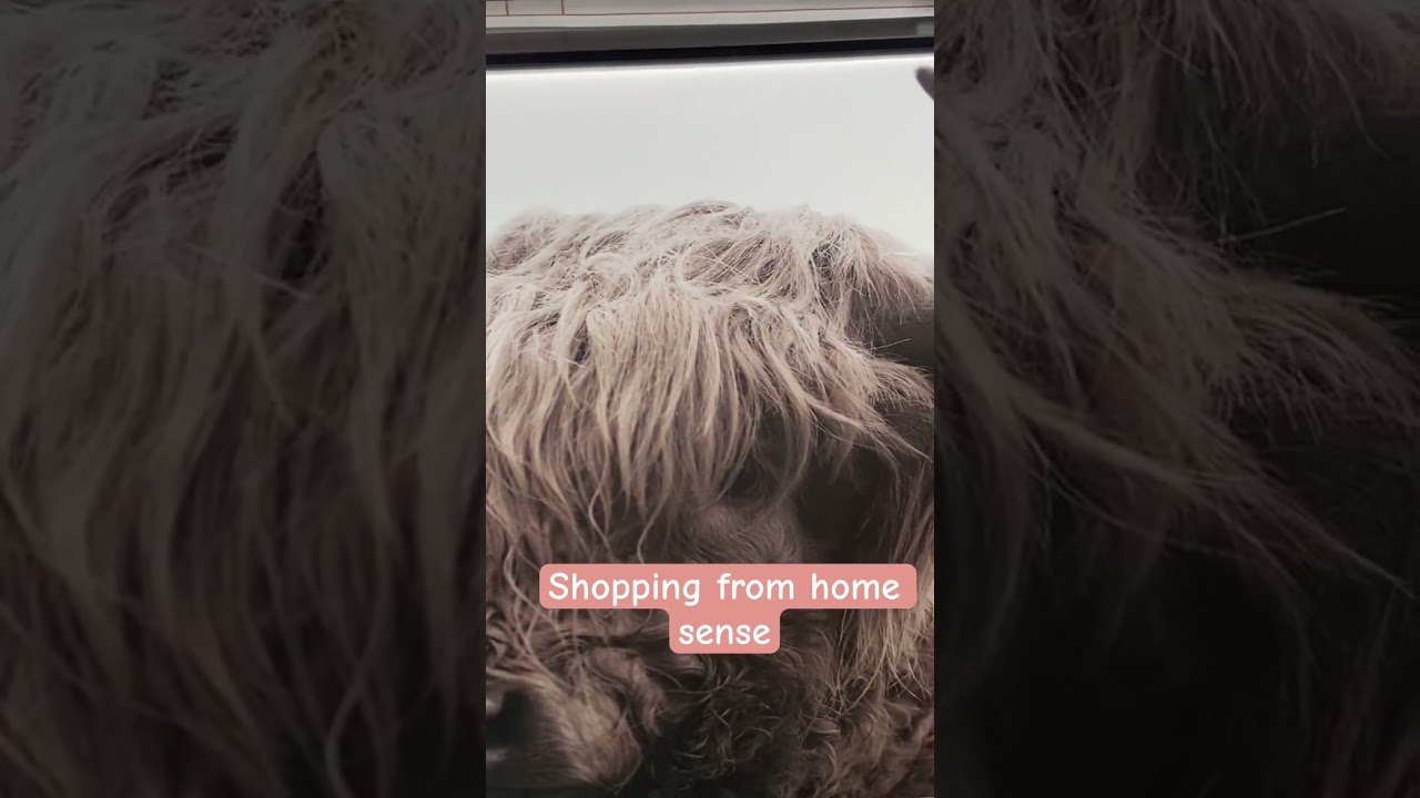 Biggest home trends at home sense 2024 let’s shop for it 🛒