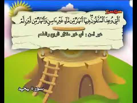 آيات سورة محمد 12 15 المنشاوي المعلم