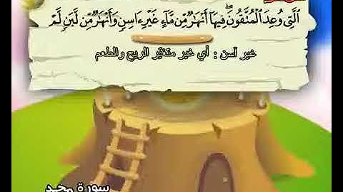 آيات سورة محمد (12-15) المنشاوي المعلم.