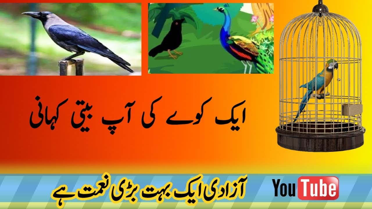 Urdu Kahaniyan Crow and parrot story Kauwa aur tota ki kahani YouTube