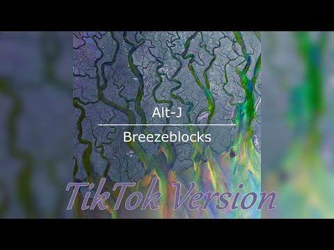 alt-j---breezeblocks-(original-tiktok-version)