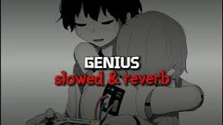 LSD - Genius (slowed) ft. Sia, Diplo, Labrinth