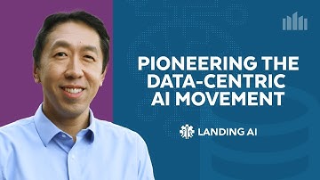 Pioneering The Data-Centric AI Movement