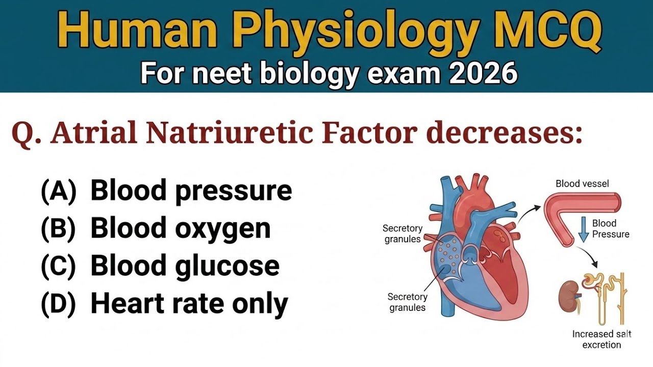 Top 50 Human Physiology MCQ for NEET 2026 | Biology MCQ For Competitive ...