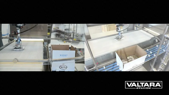 PKR Delta High Speed Sanitary Case Packing System for Frozen Food In Pillow Bags