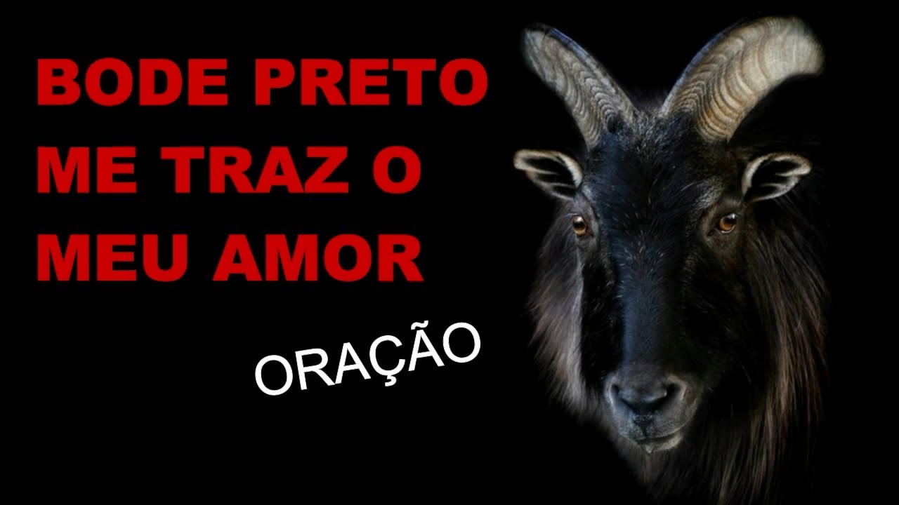Bode Preto Significado Espiritual - NAZAEDU