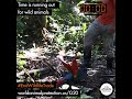 The Global Wildlife Trade | Time Is Running Out For Macaws