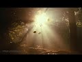 Best Smooth Jazz Sunset Vibes 🌞 Cozy Lounge Instrumentals for Relaxing Nights & Deep Sleep