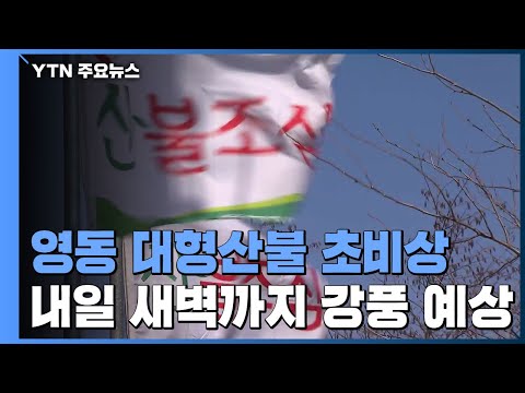 [날씨] 영동 대형산불 초비상...건조경보에 강풍까지 / YTN